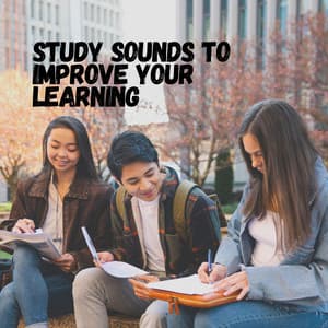 Study Sounds to Improve Your Learning - Study With Us