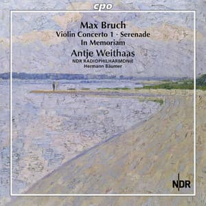 Bruch: Complete Works for Violin & Orchestra, Vol. 2 - Max Bruch