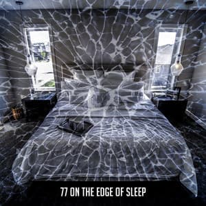 77 On The Edge Of Sleep - Pet Relax Academy