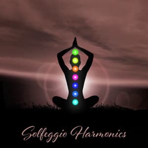 Solfeggio Harmonics: Zen Meditation Retreat - Hannah Watson