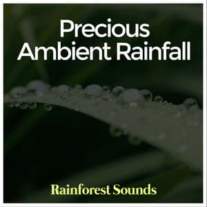 Precious Ambient Rainfall - Rainforest Sounds