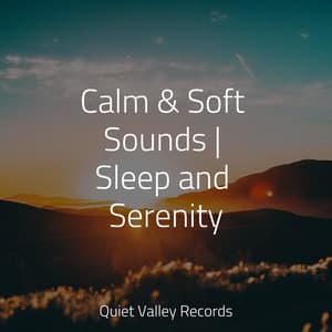 Calm & Soft Sounds | Sleep and Serenity - Nature Recordings