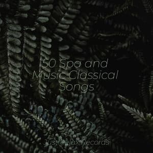 50 Spa and Music Classical Songs - Meditation Awareness