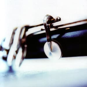 Aerials - François Houle