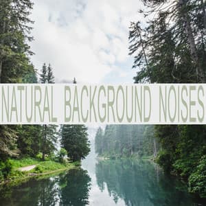 Natural Background Noises - Background Noise Lab