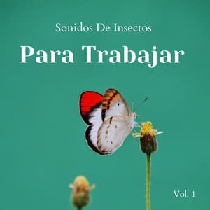 Sonidos De Insectos Para Trabajar Vol. 1 - Orquesta de la Naturaleza
