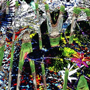 Noise 5706 - Merzbow