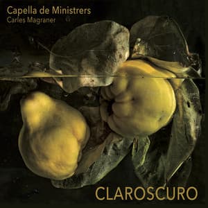 Claroscuro - Capella de Ministrers