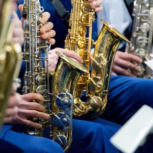 Lullaby Orchestra: Symphonic Sleep Tunes - Charles Anderson