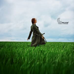 Vagus Reset Field - Trouble Sleeping Music Universe