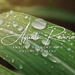 Aquatic Reverie: Ambient Harmony with Nature's Waters - Waves Of The World
