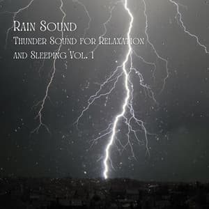 Rain Sound: Thunder Sound for Relaxation and Sleeping Vol. 1 - Sleeping Music for Babies
