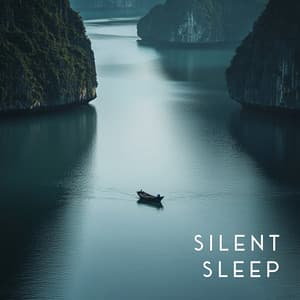 Silent Ease - Fan Noise for Sleep