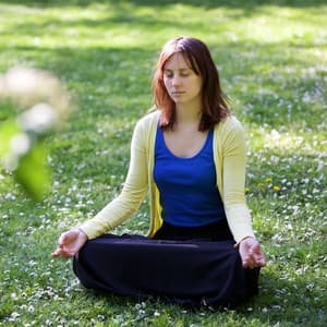 Gentle Tunes of Meditation: Raindrop Path to Piano Serenity - State of Distraction