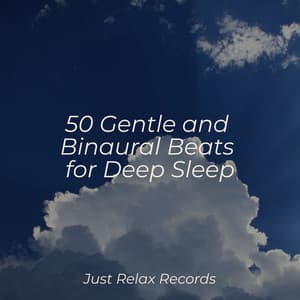 50 Gentle and Binaural Beats for Deep Sleep - Shakuhachi Sakano