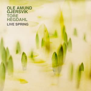 Live Spring - Ole Amund Gjersvik