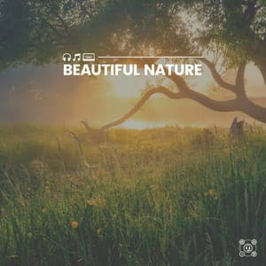 Beautiful Nature - Nature Calm