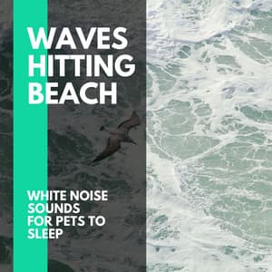 Waves Hitting Beach - White Noise Sounds for Pets to Sleep - Incredible Oceans