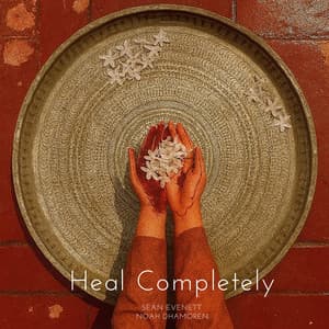 Heal Completely - Sean Evenett