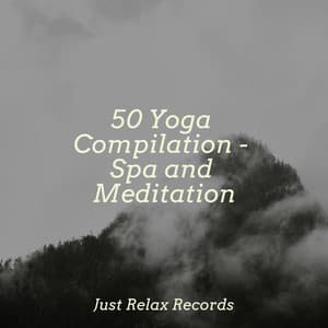 50 Yoga Compilation - Spa and Meditation - Meditation