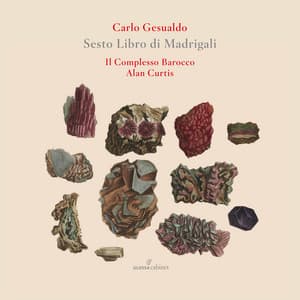 Sesto libro de madrigali - Carlo Gesualdo