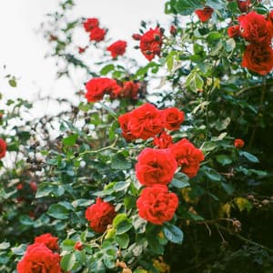 1 Infinity: Tomorrow Today - Yoga Music