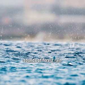 * sounds of forest rain * - Ambient Rain