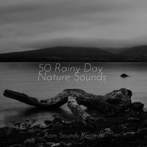 50 Rainy Day Nature Sounds - Ocean Sounds