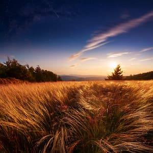 Symphonies Of Serenity: Orchestral Journeys Through Sound And Emotion - Bertie Lambert