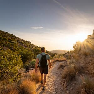 Orquesta Sinfónica: Ritmos Melódicos Calmantes - Raymond Floyd
