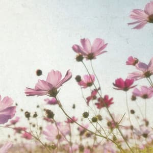 Moments of Classical Serenity - Johann Sebastian Bach