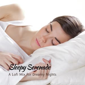 Sleepy Serenade: A Lofi Mix for Dreamy Nights - Lofi Sleep