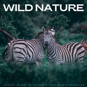 Wild Nature: Peaceful Sounds Of The Forest For Complete Relaxation - Sounds of Nature Relaxation
