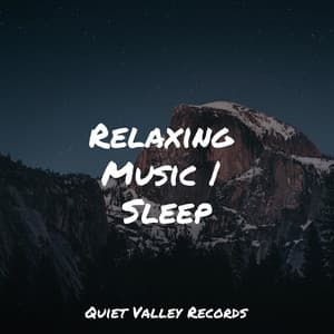 Relaxing Music | Sleep - Rainforest Sounds