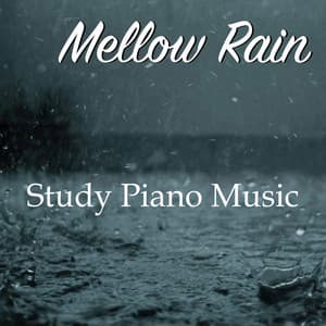 Mellow Rain - Study Piano Music