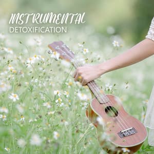 Instrumental Detoxification: Music for Relaxation, Stress Relief, and Emotional Healing - Just Relax Music Universe