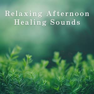 Relaxing Afternoon Healing Sounds - Relaxing BGM Project