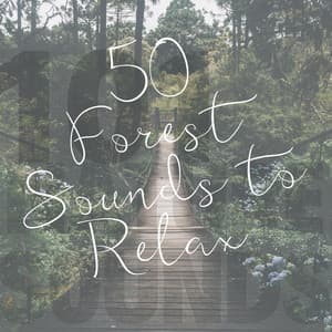 50 Forest Sounds to Relax - 101 Nature Sounds