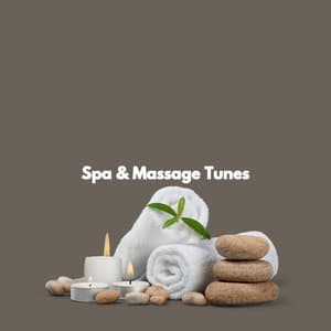 Spa & Massage Tunes - 1 Hour Spa Music