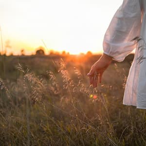 Meadow Serenade: Echoes of Nature's Tranquility - Mind of Peace