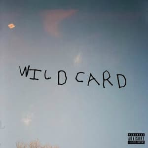 Wild Card - Zelooperz