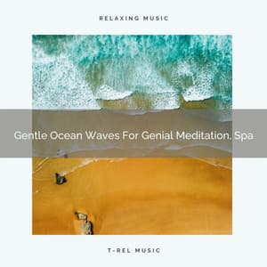 Gentle Ocean Waves For Genial Meditation, Spa - Spa And Soft Relax
