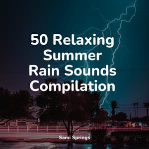 50 Relaxing Summer Rain Sounds Compilation - Echoes Of Nature