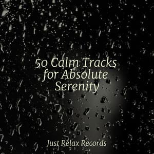 50 Calm Tracks for Absolute Serenity - Bird Sounds