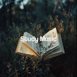 Study Music - Entspannungsmusik