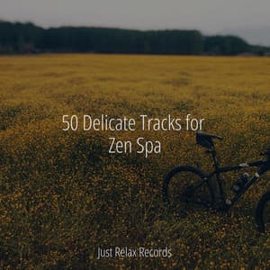 50 Delicate Tracks for Zen Spa - Musica Romantica Ensemble