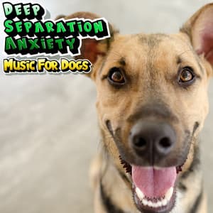 Calming Doggy Sleep Music - Stress Relief Music For Anxious Dogs - Deep Separation Anxiety Music For Dogs