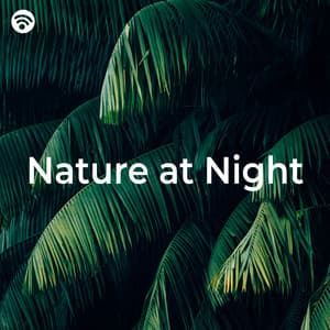 Nature at Night - Naturgeräusche für Entspannung und Erholung