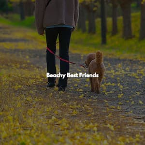 Beachy Best Friends - Ruhige Musik