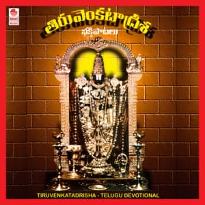 Tiru Venkatadrisha - S. Narayan
